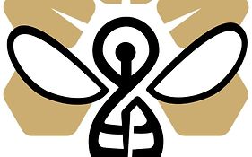 Wellness Pobyt Na Vceli Lazne - Apispa - Apiterapeut-Cz - 5 Procedur